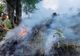 Incendiul din Munții Căpăţânii a fost localizat, nu stins. Focarele de sub copacii căzuți se reaprind