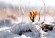 Vremea 9 februarie - Temperaturi de primăvară care ajung până la 13 grade Celsius