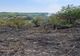 INCENDIU la Albota: Pompieri și SMURD, intervenție rapidă