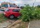 ACCIDENT RUTIER ȘI INTERVENȚII DE URGENȚĂ ÎN ARGEȘ