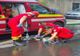 PISICI SALVATE DE POMPIERII DIN BRAȘOV