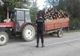 ACTIVITATE INTENSĂ A POLIȚIȘTILOR DIN ARGEȘ ÎN DOMENIUL SILVIC: 575 DE CONTROALE ȘI CONFISCĂRI ÎN PRIMELE 6 LUNI ALE ANULUI
