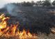 INCENDII ÎN ARGEȘ: Pompierii au intervenit la cinci incendii care au afectat o suprafață de 16.200 mp