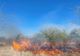 INCENDIU ÎN POPEȘTI: POMPIERII INTERVIN PENTRU STINGERE ȘI SALVARE