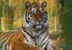 ZOO PITEȘTI: VIZITĂ ÎN MINIVACANȚA DE SFÂNTA MARIA MARE