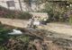 ACCIDENT RUTIER ÎN BUDEASA: AUTOTURISM RĂSTURNAT, FĂRĂ PERSOANE ÎNCARCERATE