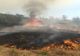 INCENDII DEVASTATOARE ÎN VEGETAȚIA USCATĂ DIN ROMÂNIA