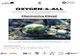 TURNUL NAȚIONAL „OXYGEN 4 ALL” DEBUTEAZĂ LA PITEȘTI
