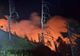 INCENDIU ÎNTR-O PĂDURE DIN SĂTIC, ARGEȘ