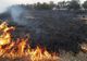INTERVENȚIE DE URGENȚĂ A POMPIERILOR ARGEȘENI PENTRU STINGERA INCENDIILOR DE VEGETAȚIE