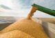 LEADERII POLITICI CER INTERZICEREA IMPORTURILOR AGRICOLE DIN UCRAINA ȘI MĂSURI URGENTE PENTRU FERMIERI