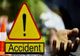 ACCIDENT RUTIER CU VICTIMĂ ÎN STÂLPENI: BĂRBAT DECEDAT DUPĂ COLIZIUNE ȘI RICOȘARE ÎNTR-UN CAP DE POD