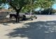 VEHICUL TRAS DE ANIMALE, OPRIT ÎN MUNICIPIUL PITEȘTI