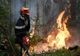 POMPIERII DIN ARGEȘ, SOLICITAȚI LA INTERVENȚIA ÎN PATRU INCENDII DE VEGETAȚIE