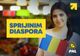 ROMÂNII DIN DIASPORĂ VOR AVEA BENEFICII DATORITĂ UNUI NOU PROIECT DE LEGE