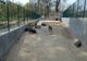 BILETE MAI SCUMPE LA GRĂDINA ZOO BĂNEASA: TARIFELE PROPUSE DE PRIMĂRIA CAPITALEI