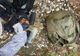 Un rucsac cu haine a fost abandonat în masivul Piatra Mare. În zonă sunt urși 